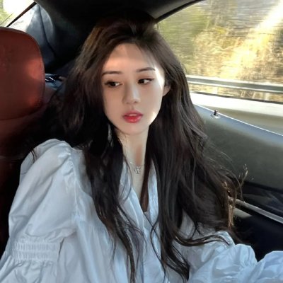 少林与咏春粤语